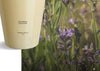 Cereria Mollà 1899 Refill Reed diffuser Mikado 200ml Provence Lavendel Navulling